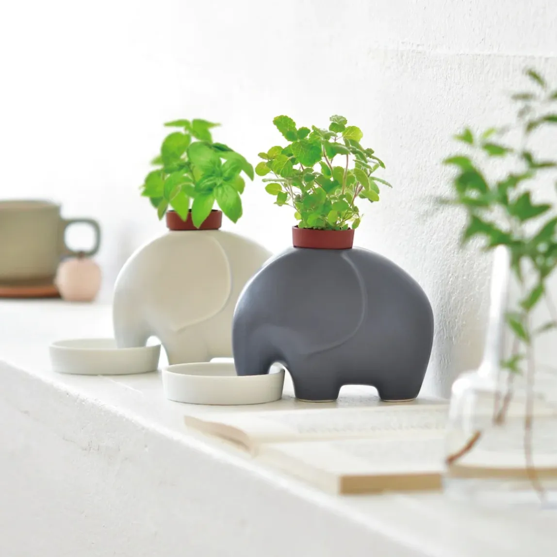 Eleplant - Self-Watering Planter (White - Sweet Basil)