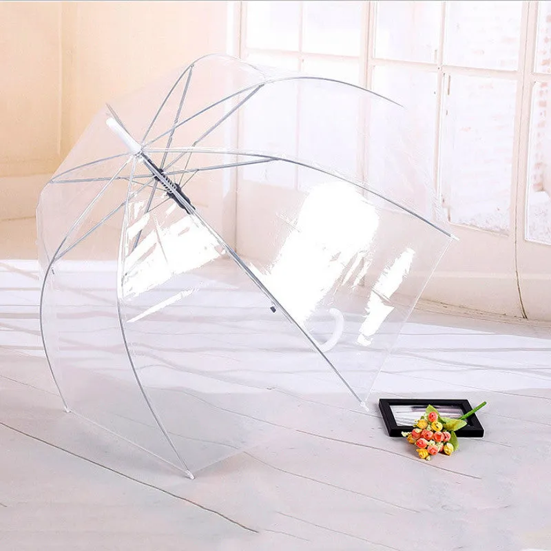 Long Handle Transparent Umbrella