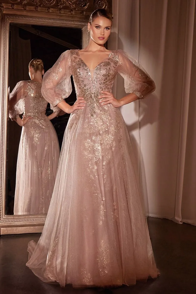 LONG SLEEVE LAYERED TULLE A-LINE GOWN CDCD0102