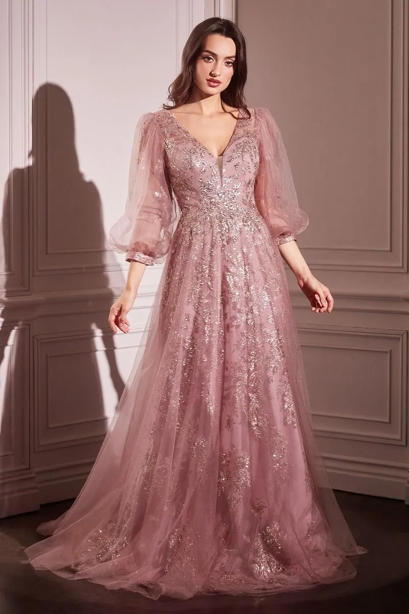 LONG SLEEVE LAYERED TULLE A-LINE GOWN CDCD0102